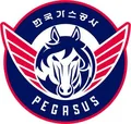 大邱石油公社飞马